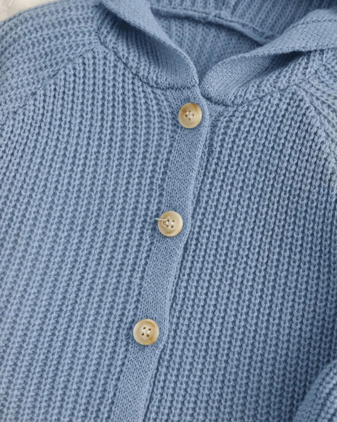 Baby Boy Knit Cardigan – Blue Hooded Sweater with 3D Ears
